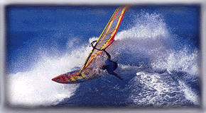 windsurf.gif (40518 bytes)